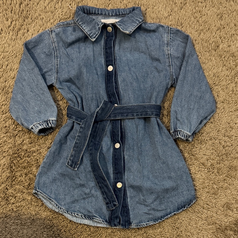 Zara Belted Denim Dress